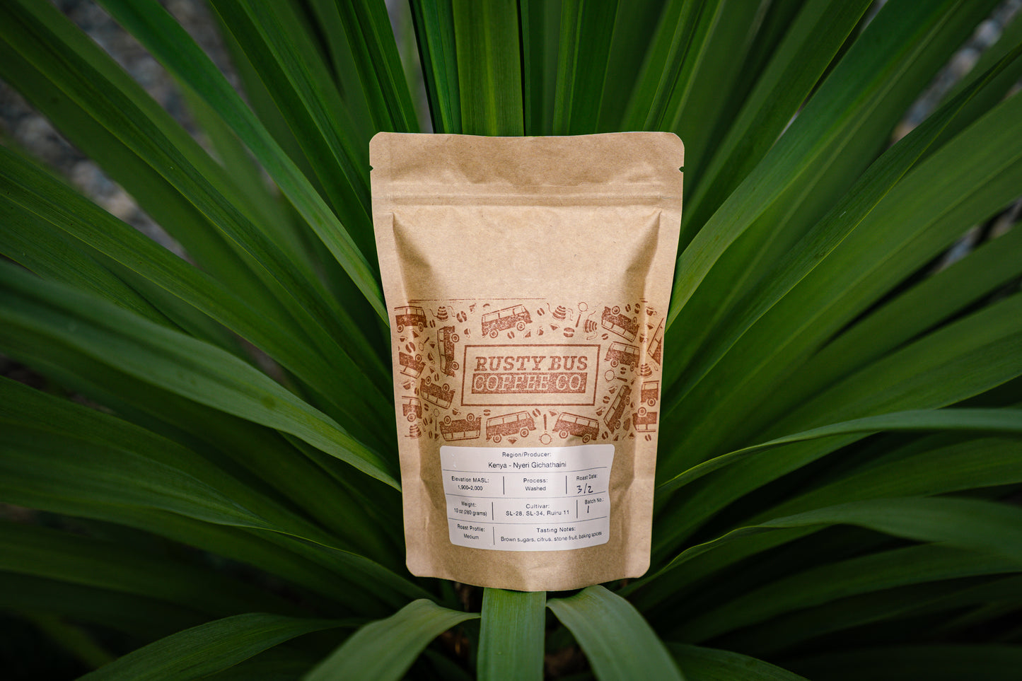 Kenya - Nyeri Gichathaini