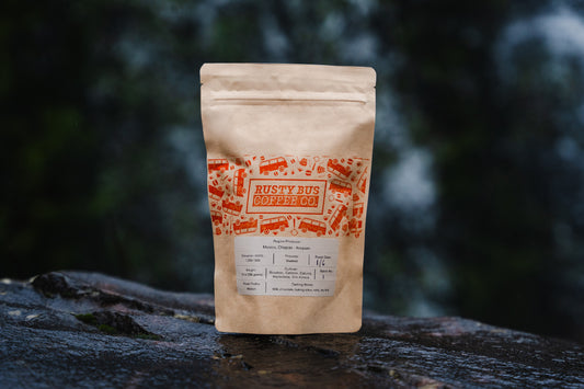 Mexico, Chiapas - Anepaan