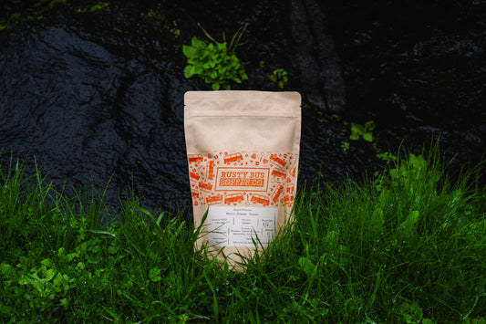 Mexico, Chiapas - Anepaan